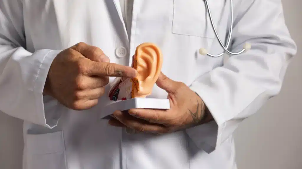 Learn how ear anatomy influences hearing aid comfort, sound quality, and stability for a better listening experience.
